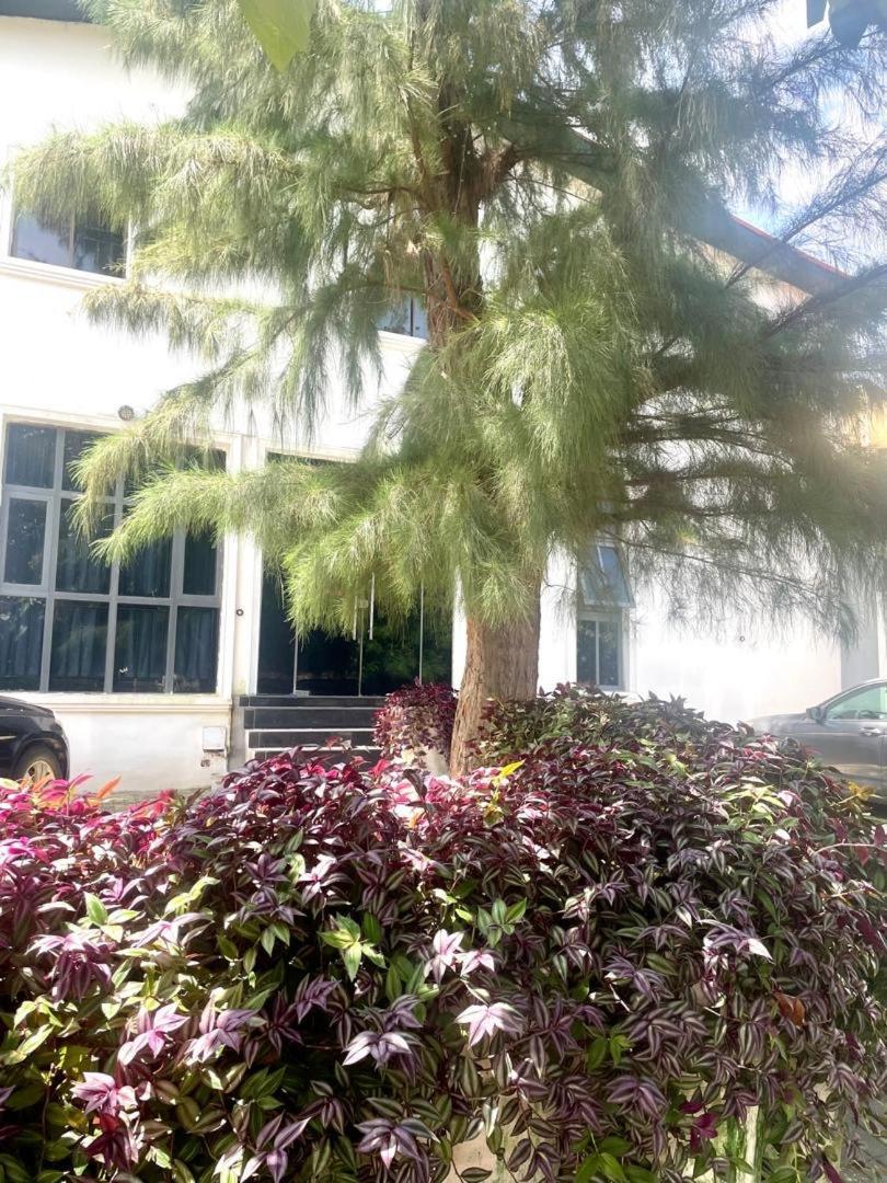 Wine House, Maitama, Abuja Apartman Kültér fotó